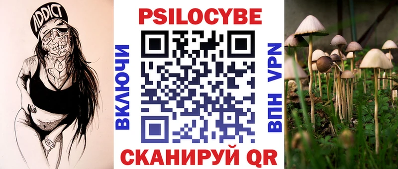 Галлюциногенные грибы Psilocybe  дарк нет официальный сайт  Нижние Серги  кракен онион 